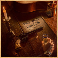 THE WILD HORSES "THE LAST BULLET"